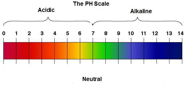 ph scale « Abundant Health Center | Blog